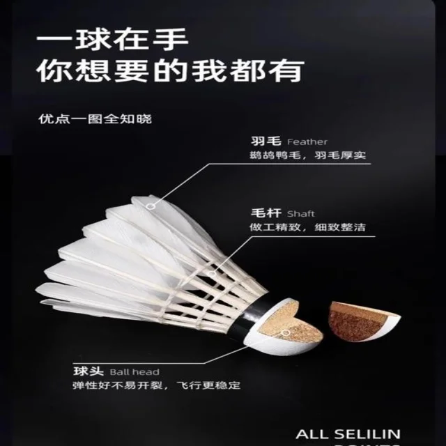 训练备战视角下第800组阵容深度剖析